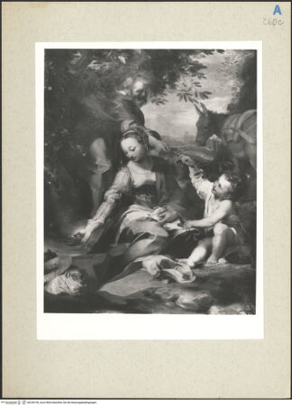 Vorderseite von bh236150_recto