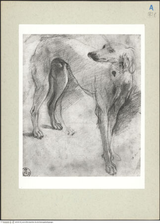 Vorderseite von bh236153_recto