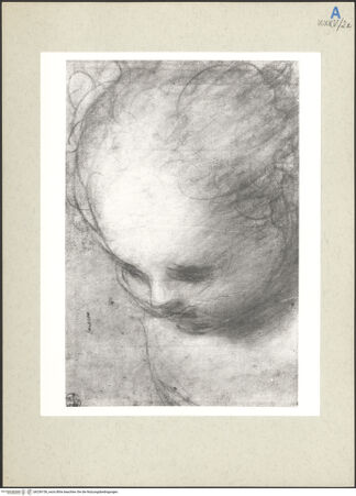 Vorderseite von bh236156_recto