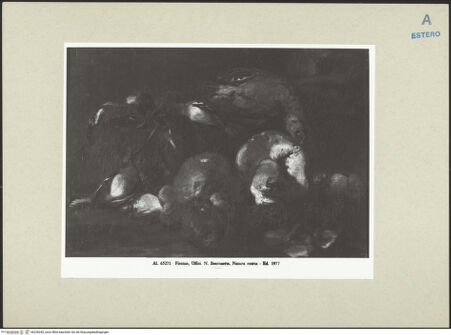 Vorderseite von bh236245_recto