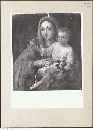 Vorderseite von bh236318_recto