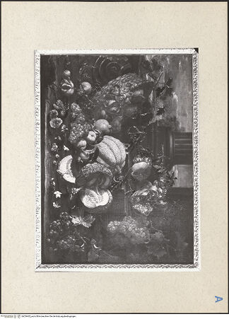 Vorderseite von bh236402_recto