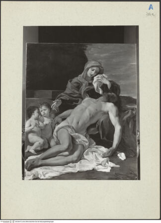 Vorderseite von bh236415_recto