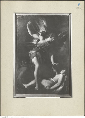 Vorderseite von bh236416_recto