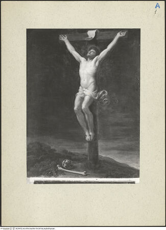 Vorderseite von bh236432_recto