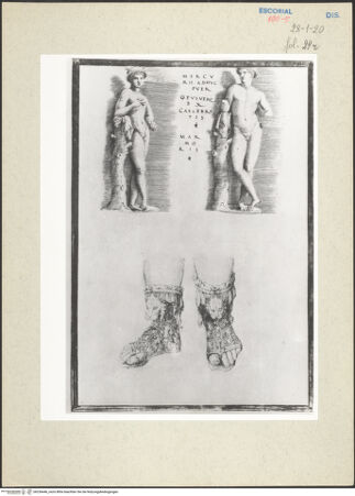 Vorderseite von bh236446_recto