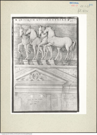 Vorderseite von bh236486_recto