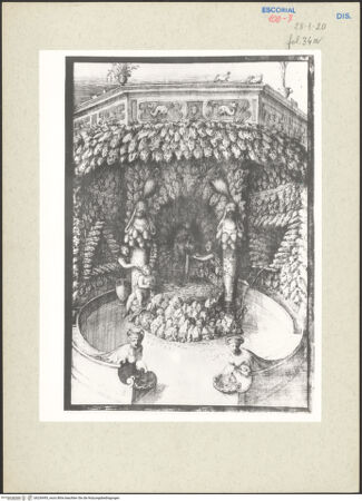 Vorderseite von bh236495_recto