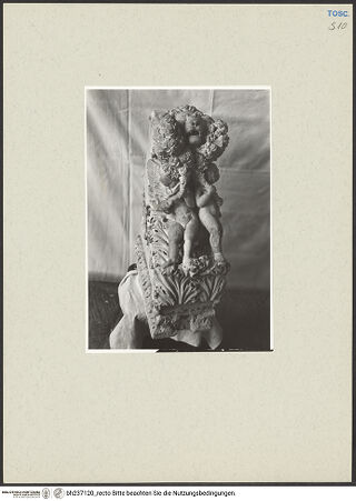 Vorderseite von bh237120_recto