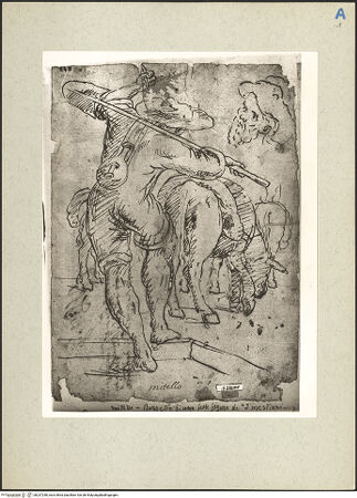 Vorderseite von bh237248_recto