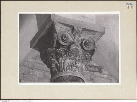 Vorderseite von bh237688_recto