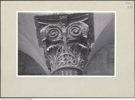 Vorderseite von bh237690_recto