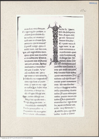 Vorderseite von bh237712_recto