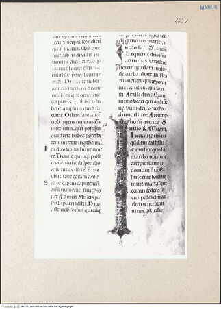 Vorderseite von bh237713_recto