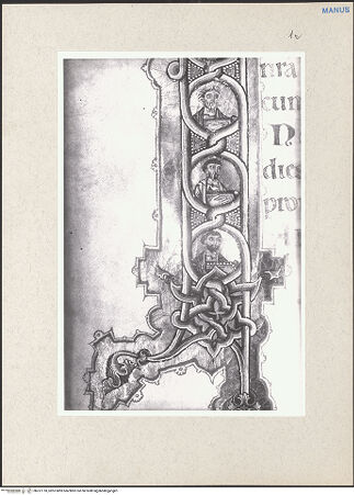 Vorderseite von bh237718_recto