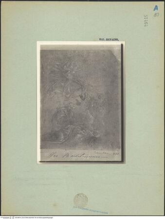 Vorderseite von bh238010_recto