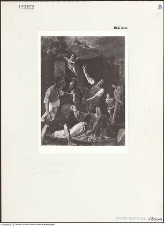 Vorderseite von bh238043_recto