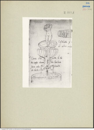 Vorderseite von bh238064_recto