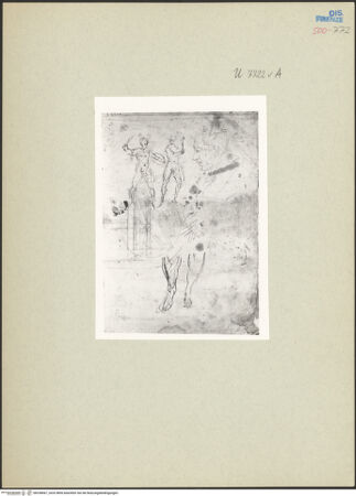 Vorderseite von bh238067_recto