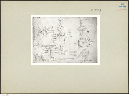 Vorderseite von bh238071_recto