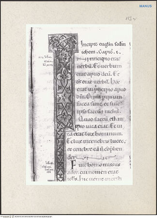 Vorderseite von bh238184_recto