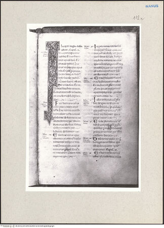 Vorderseite von bh238185_recto