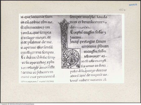 Vorderseite von bh238188_recto