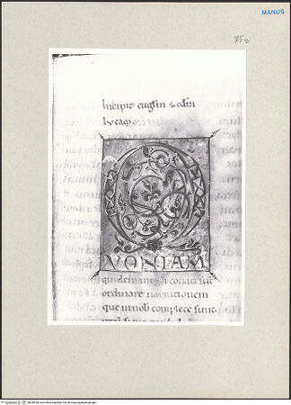 Vorderseite von bh238189_recto