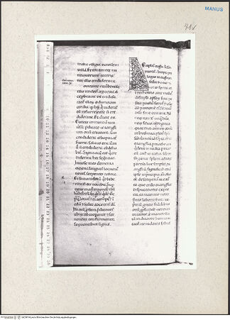 Vorderseite von bh238194_recto