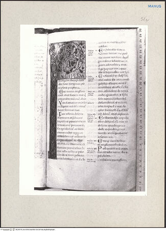 Vorderseite von bh238195_recto