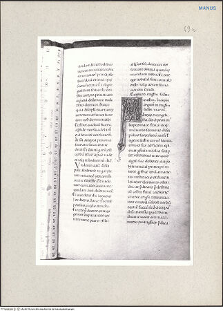 Vorderseite von bh238199_recto