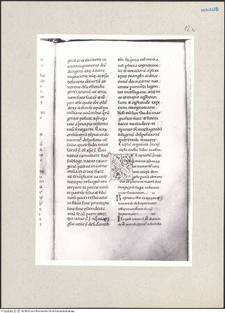 Vorderseite von bh238203_recto