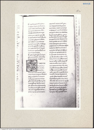 Vorderseite von bh238207_recto