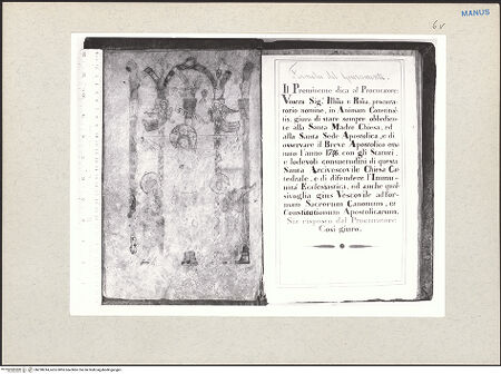 Vorderseite von bh238214_recto