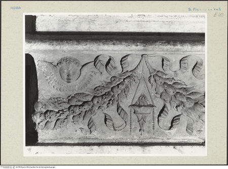 Vorderseite von bh238363_recto