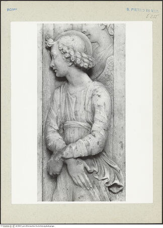 Vorderseite von bh238427_recto