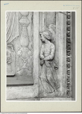 Vorderseite von bh238428_recto