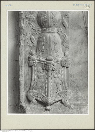 Vorderseite von bh238461_recto