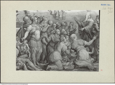 Vorderseite von bh238503_recto