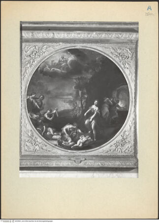 Vorderseite von bh238561_recto