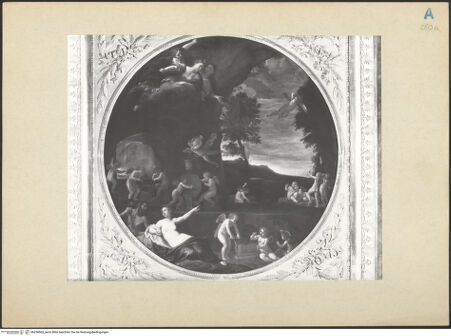 Vorderseite von bh238563_recto