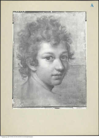 Vorderseite von bh238584_recto