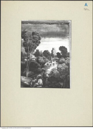 Vorderseite von bh238585_recto