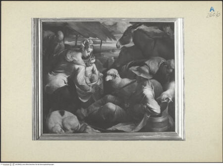 Vorderseite von bh238606_recto