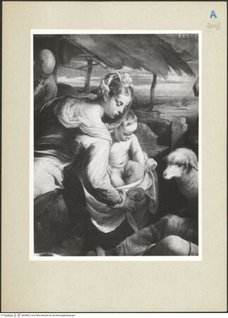 Vorderseite von bh238607_recto