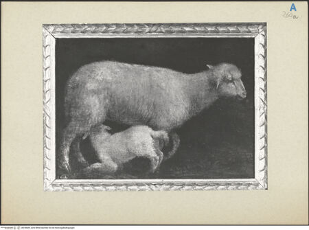 Vorderseite von bh238609_recto