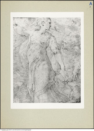 Vorderseite von bh238727_recto