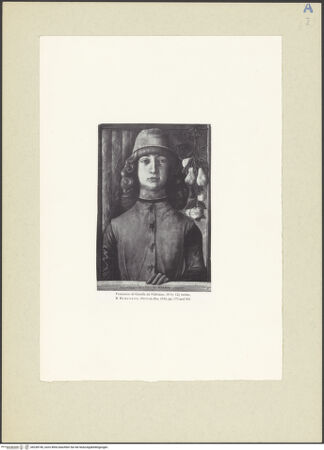 Vorderseite von bh238740_recto