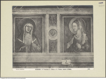 Vorderseite von bh238746_recto