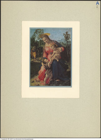 Vorderseite von bh238747_recto